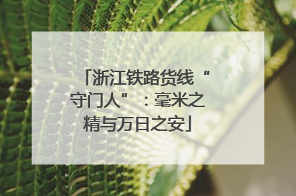 浙江铁路货线“守门人”：毫米之精与万日之安