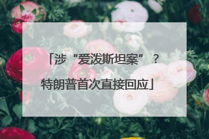 涉“爱泼斯坦案”？特朗普首次直接回应