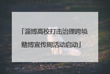 淄博高校打击治理跨境赌博宣传周活动启动