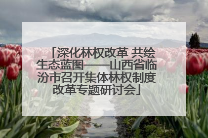 深化林权改革 共绘生态蓝图——山西省临汾市召开集体林权制度改革专题研讨会