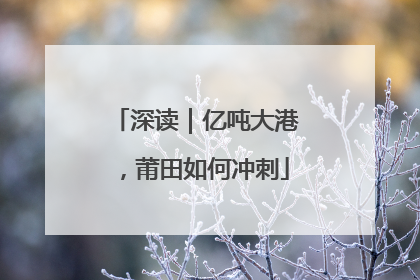 深读｜亿吨大港，莆田如何冲刺