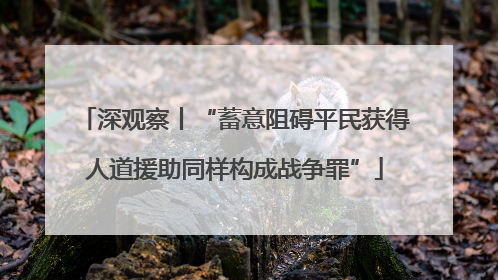 深观察丨“蓄意阻碍平民获得人道援助同样构成战争罪”