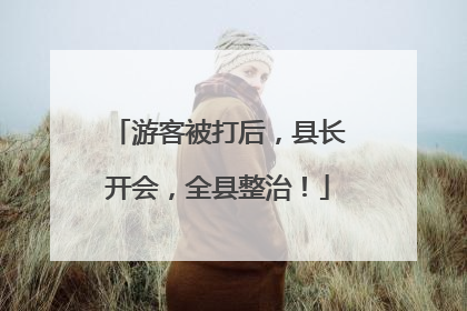 游客被打后，县长开会，全县整治！