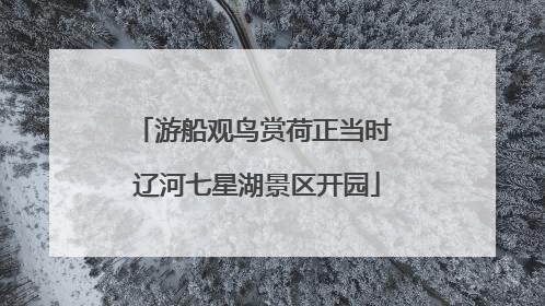 游船观鸟赏荷正当时 辽河七星湖景区开园