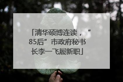清华硕博连读，“85后”市政府秘书长李一飞履新职