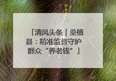 清风头条｜桑植县：精准监督守护群众“养老钱”