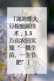 渑池推大豆根瘤菌技术，1.3万亩农田实现“一播全苗、一生节肥”
