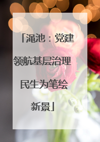 渑池：党建领航基层治理 民生为笔绘新景