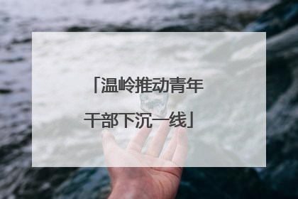 温岭推动青年干部下沉一线