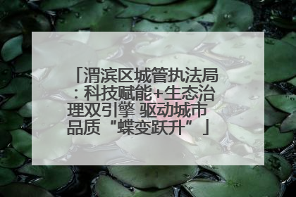 渭滨区城管执法局：科技赋能+生态治理双引擎 驱动城市品质“蝶变跃升”