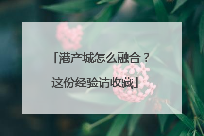 港产城怎么融合？这份经验请收藏