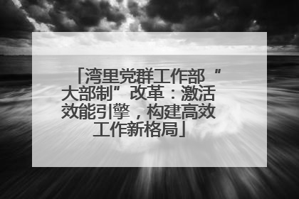 湾里党群工作部“大部制”改革：激活效能引擎，构建高效工作新格局