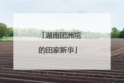 湖南团洲垸的田家新事