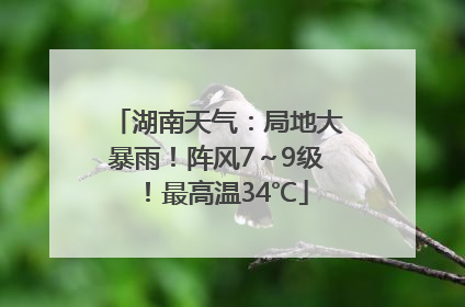湖南天气：局地大暴雨！阵风7～9级！最高温34℃