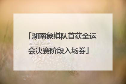湖南象棋队首获全运会决赛阶段入场券