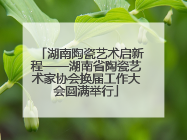 湖南陶瓷艺术启新程——湖南省陶瓷艺术家协会换届工作大会圆满举行