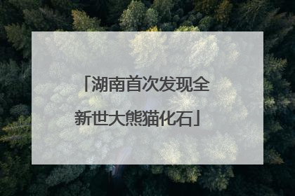 湖南首次发现全新世大熊猫化石