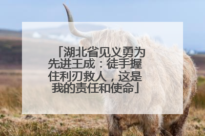 湖北省见义勇为先进王成：徒手握住利刃救人，这是我的责任和使命