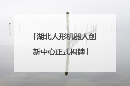 湖北人形机器人创新中心正式揭牌