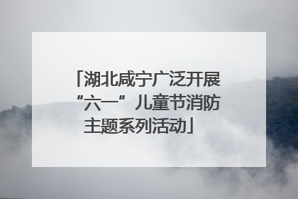 湖北咸宁广泛开展“六一”儿童节消防主题系列活动