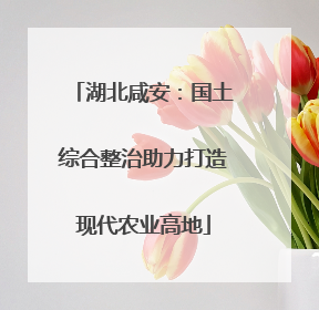 湖北咸安：国土综合整治助力打造现代农业高地