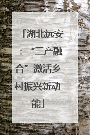 湖北远安：“三产融合”激活乡村振兴新动能