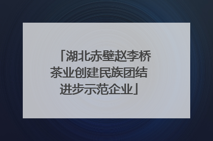 湖北赤壁赵李桥茶业创建民族团结进步示范企业