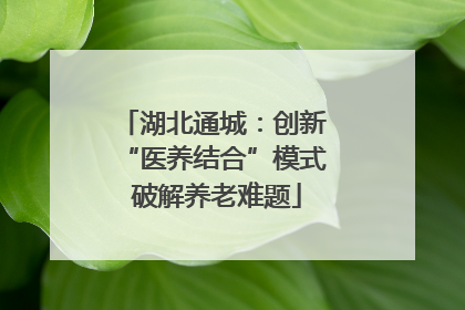 湖北通城：创新 “医养结合”模式 破解养老难题