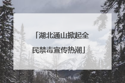 湖北通山掀起全民禁毒宣传热潮