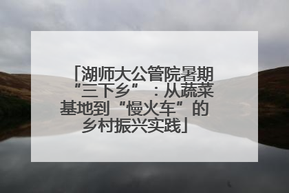 湖师大公管院暑期“三下乡”：从蔬菜基地到“慢火车”的乡村振兴实践