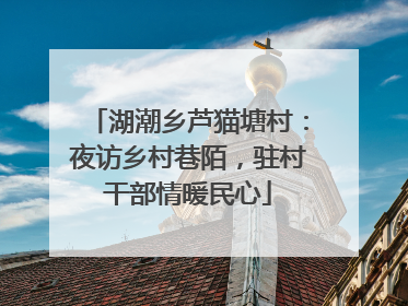 湖潮乡芦猫塘村：夜访乡村巷陌，驻村干部情暖民心