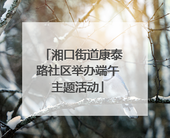 湘口街道康泰路社区举办端午主题活动