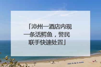 漳州一酒店内现一条活鳄鱼，警民联手快速处置