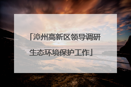 漳州高新区领导调研生态环境保护工作