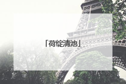 荷绽清池