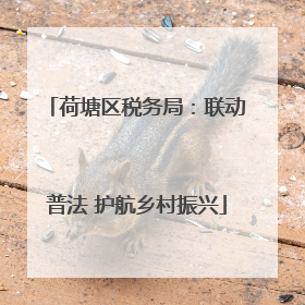 荷塘区税务局：联动普法 护航乡村振兴