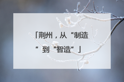 荆州，从“制造”到“智造”