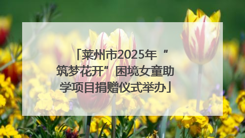 莱州市2025年“筑梦花开”困境女童助学项目捐赠仪式举办