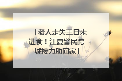 老人走失三日未进食！江夏警民跨城接力助回家