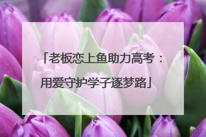 老板恋上鱼助力高考：用爱守护学子逐梦路