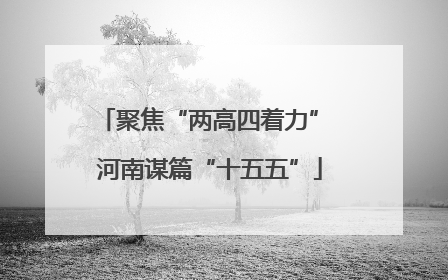 聚焦“两高四着力” 河南谋篇“十五五”