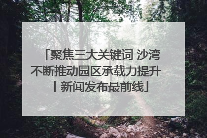 聚焦三大关键词 沙湾不断推动园区承载力提升丨新闻发布最前线