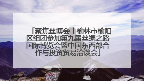 聚焦丝博会丨榆林市榆阳区组团参加第九届丝绸之路国际博览会暨中国东西部合作与投资贸易洽谈会