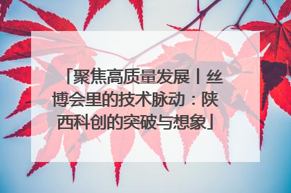 聚焦高质量发展丨丝博会里的技术脉动：陕西科创的突破与想象