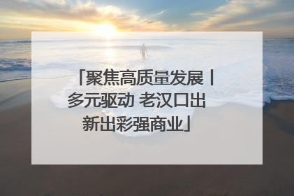 聚焦高质量发展丨多元驱动 老汉口出新出彩强商业
