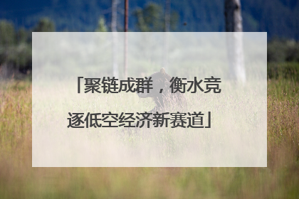 聚链成群，衡水竞逐低空经济新赛道