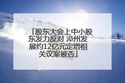 股东大会上中小股东发力反对 漳州发展约12亿元定增相关议案被否