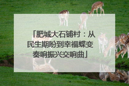 肥城大石铺村：从民生期盼到幸福蝶变奏响振兴交响曲