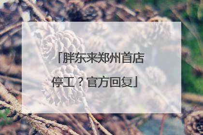 胖东来郑州首店停工？官方回复