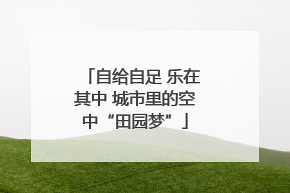 自给自足 乐在其中 城市里的空中“田园梦”